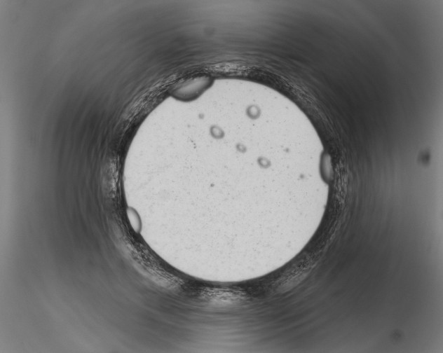 X0000115250597200912111118