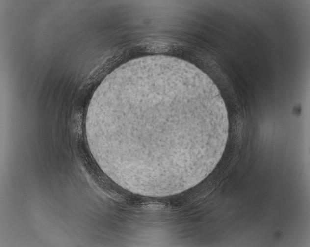 X0000115250598200912111118