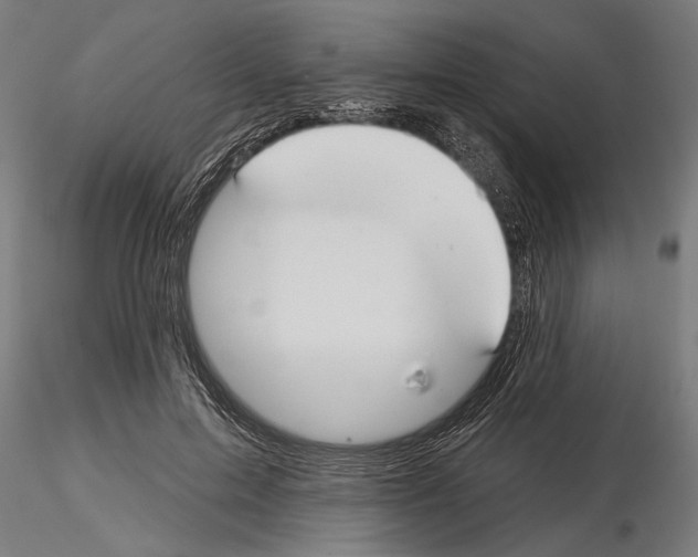 X0000115250599200912111118