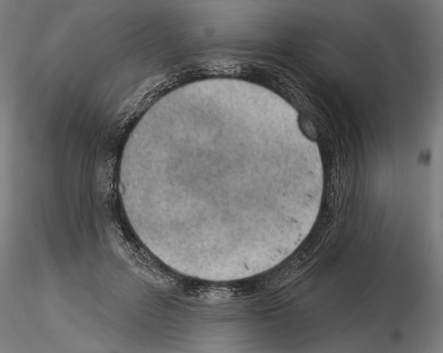 X0000115250600200912111118