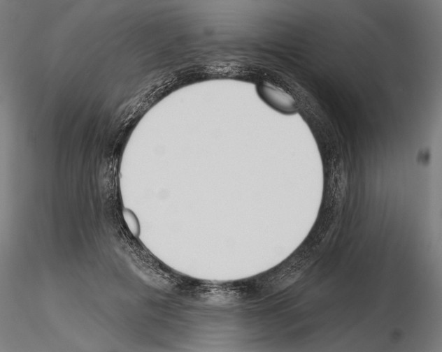 X0000115250601200912111118