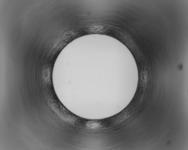 X0000115250602200912111118