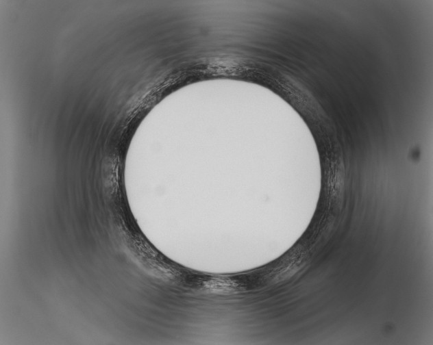 X0000115250603200912111118