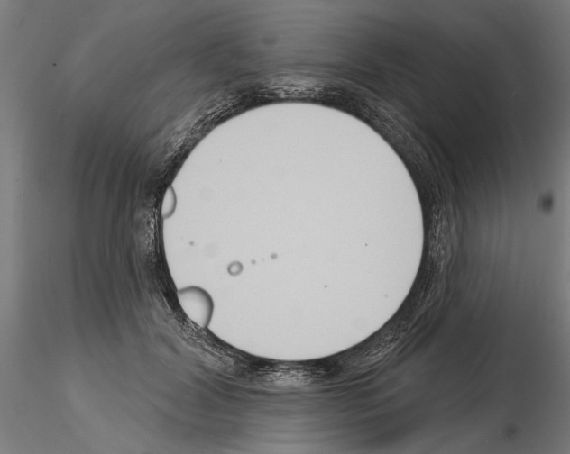 X0000115250604200912111118