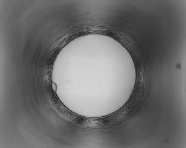 X0000115250607200912111118