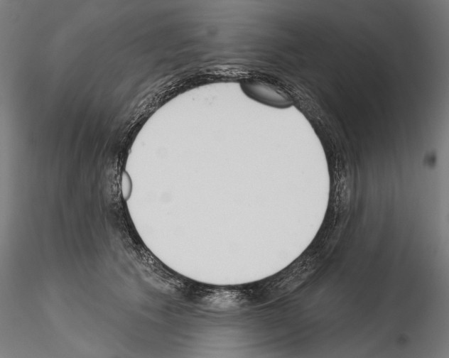 X0000115250609200912111118