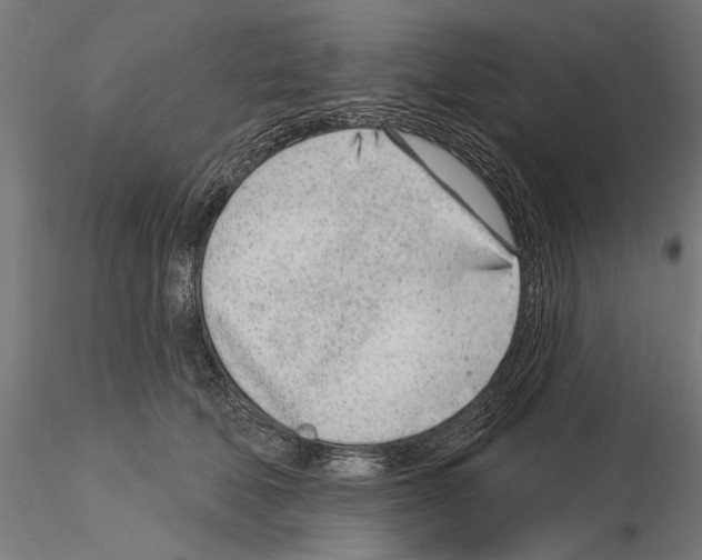 X0000115250610200912111118