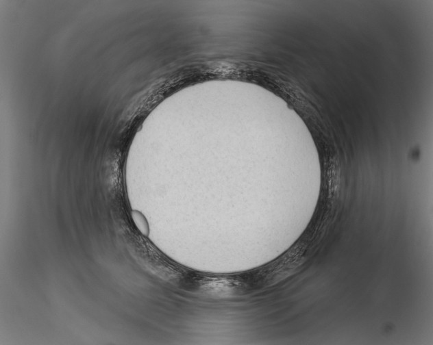 X0000115250611200912111118