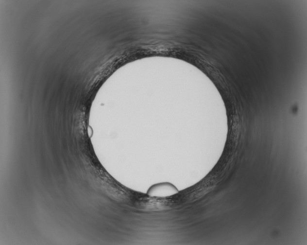 X0000115250612200912111118