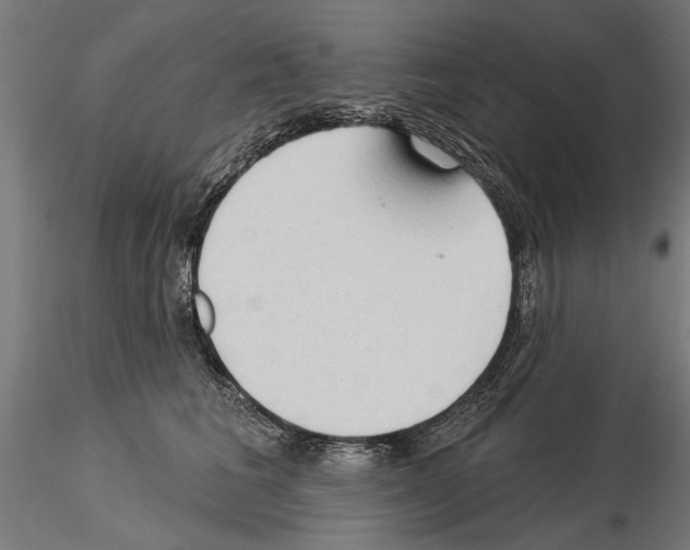 X0000115250613200912111118