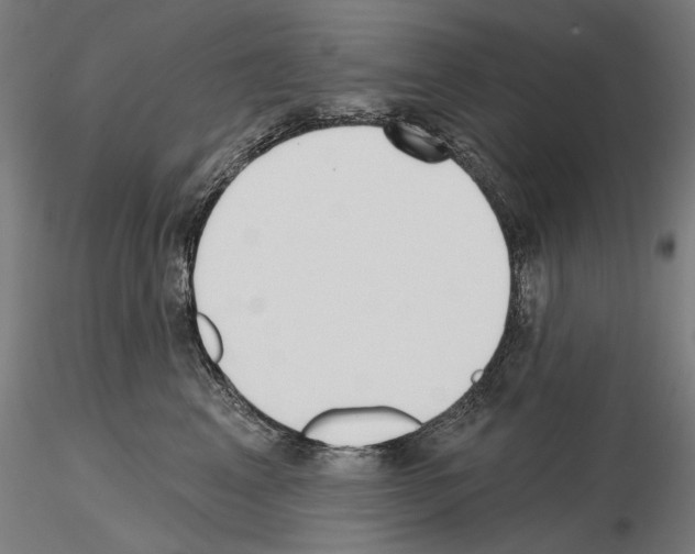 X0000115250617200912111118