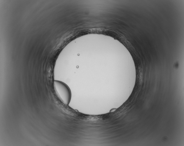 X0000115250619200912111118