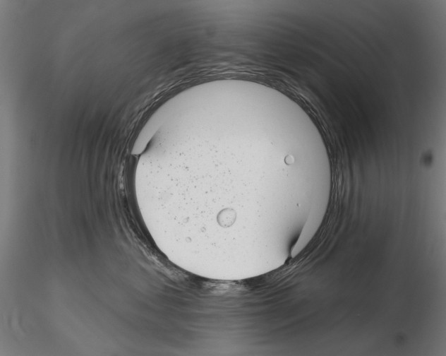 X0000115250621200912111118