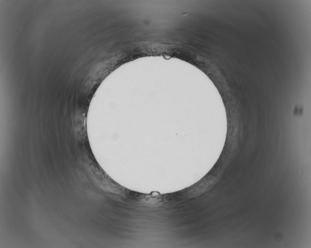 X0000115250624200912111118