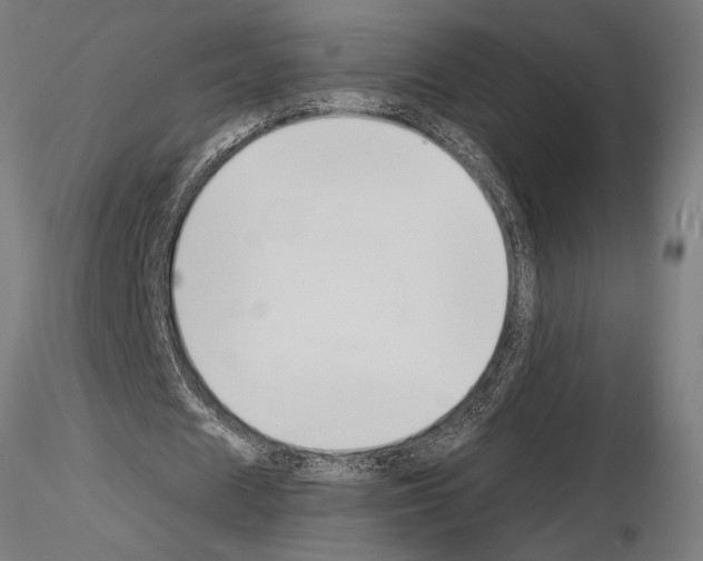 X0000115250625200912111117