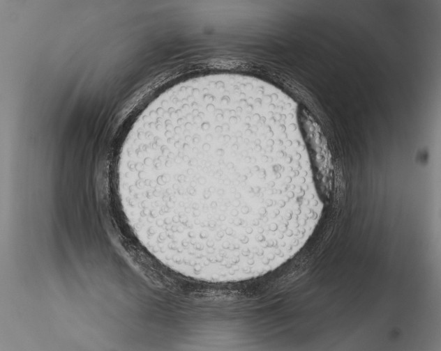 X0000115250626200912111117