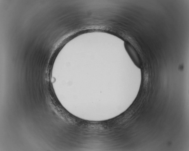 X0000115250628200912111117