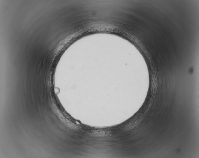 X0000115250629200912111117