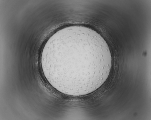 X0000115250631200912111117