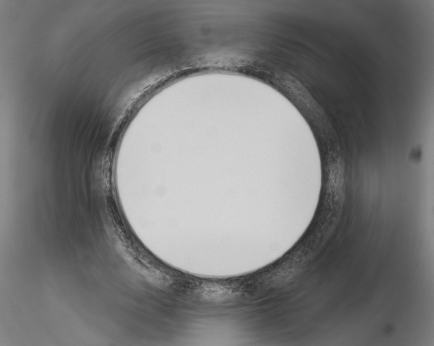 X0000115250632200912111117