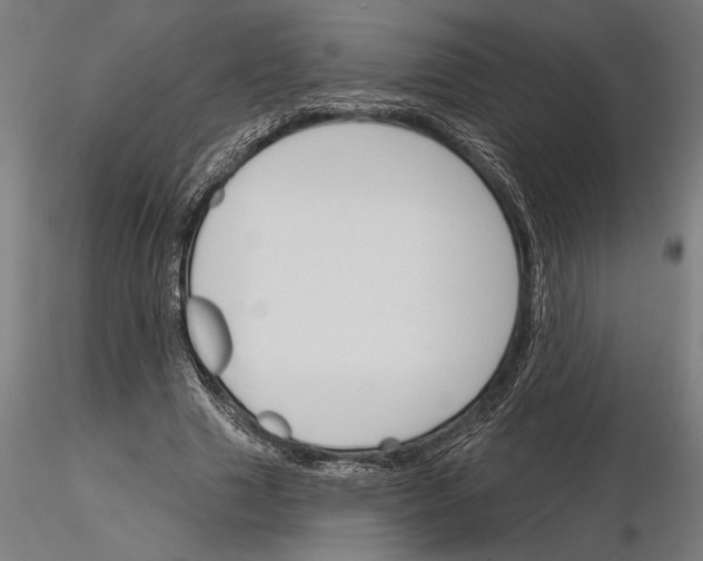 X0000115250633200912111117