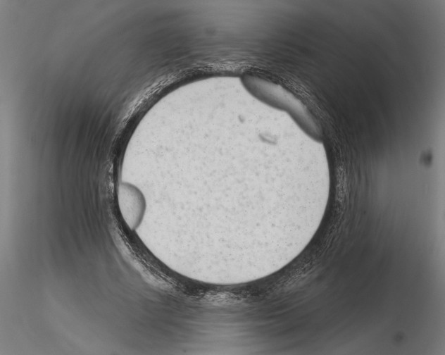 X0000115250634200912111117