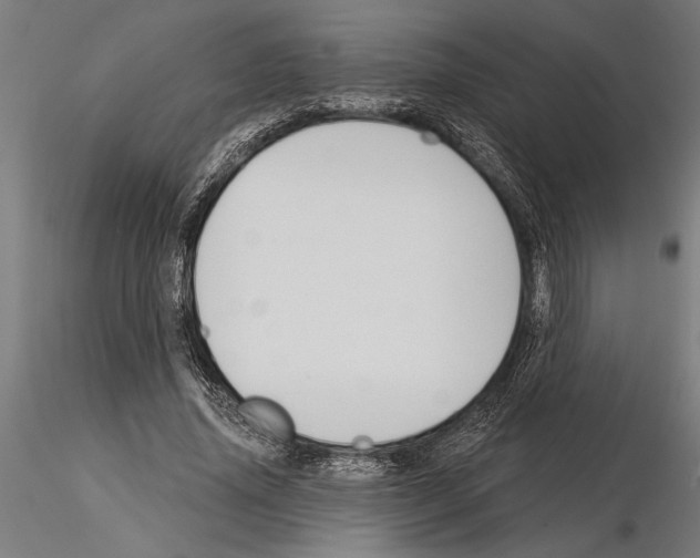 X0000115250636200912111117