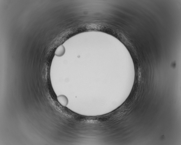 X0000115250637200912111117