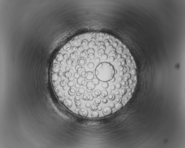 X0000115250638200912111117