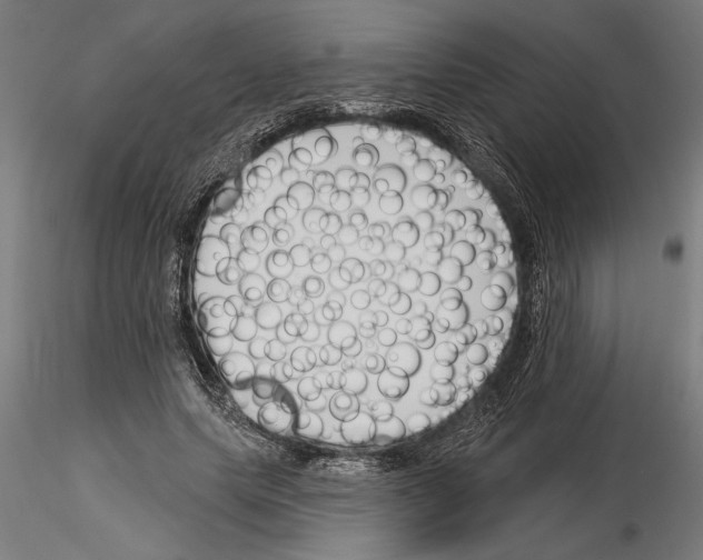 X0000115250639200912111117