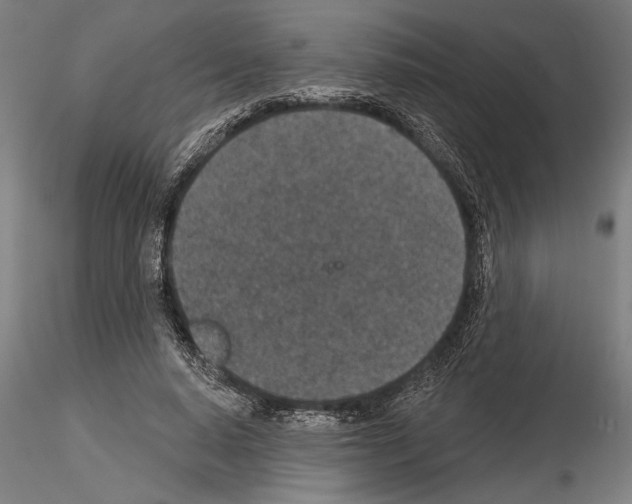 X0000115250640200912111117