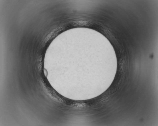 X0000115250642200912111117