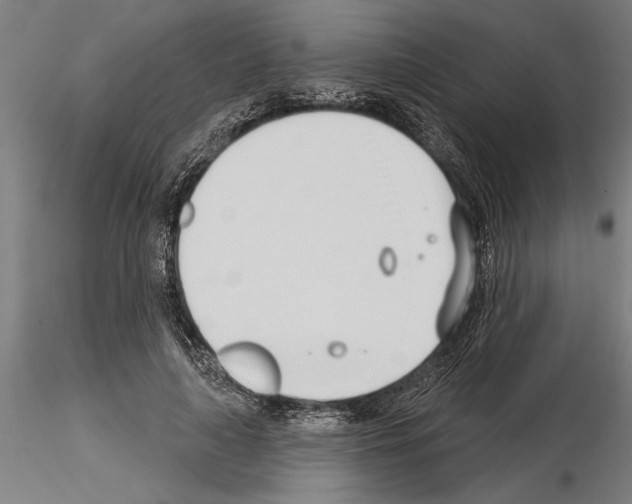 X0000115250643200912111117