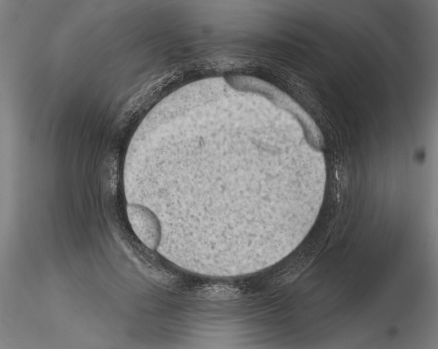 X0000115250644200912111117