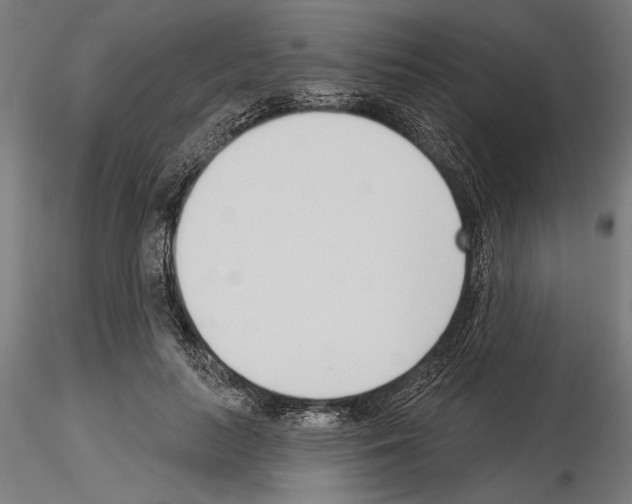 X0000115250647200912111117