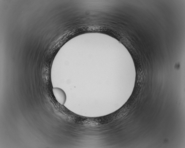 X0000115250648200912111117