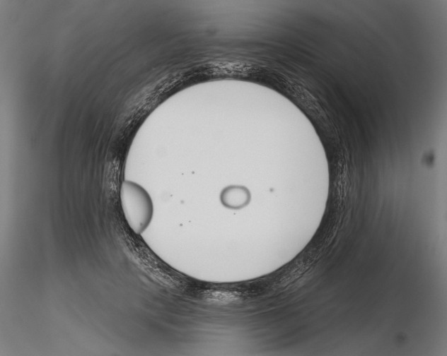 X0000115250649200912111117