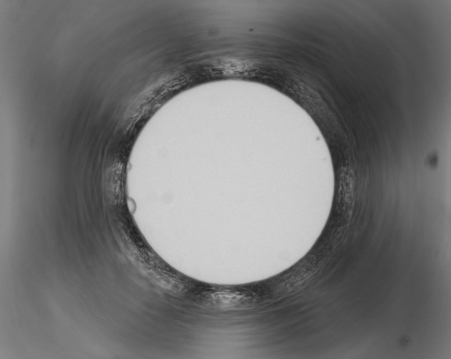 X0000115250650200912111117