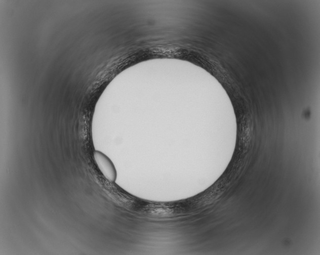 X0000115250658200912111118