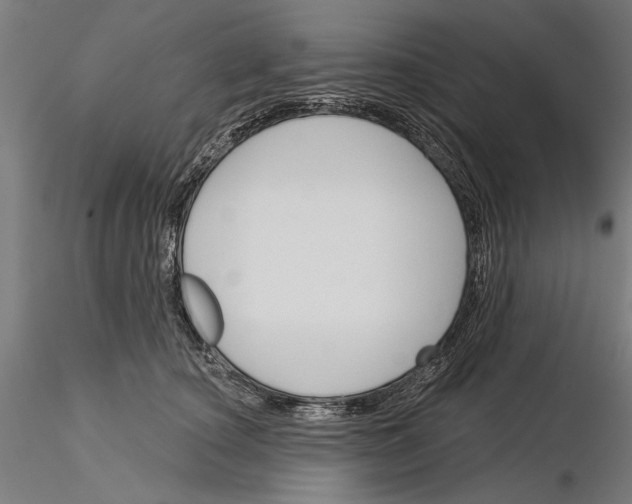 X0000115250660200912111118