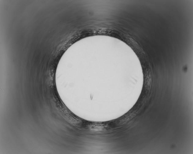 X0000115250661200912111118