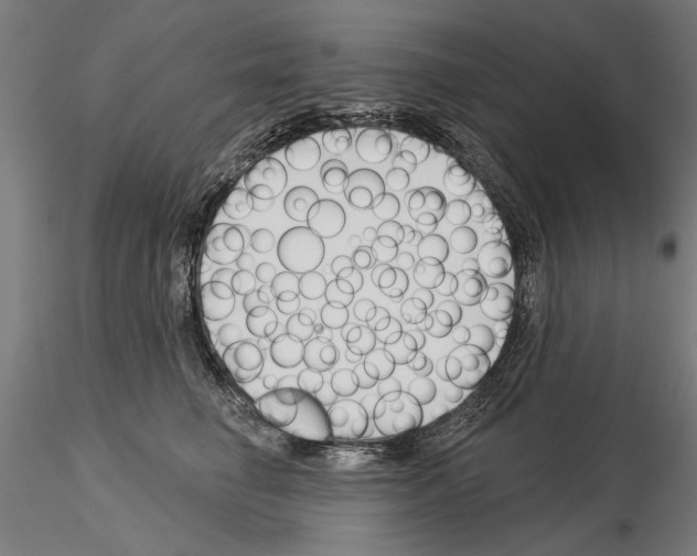 X0000115250662200912111118