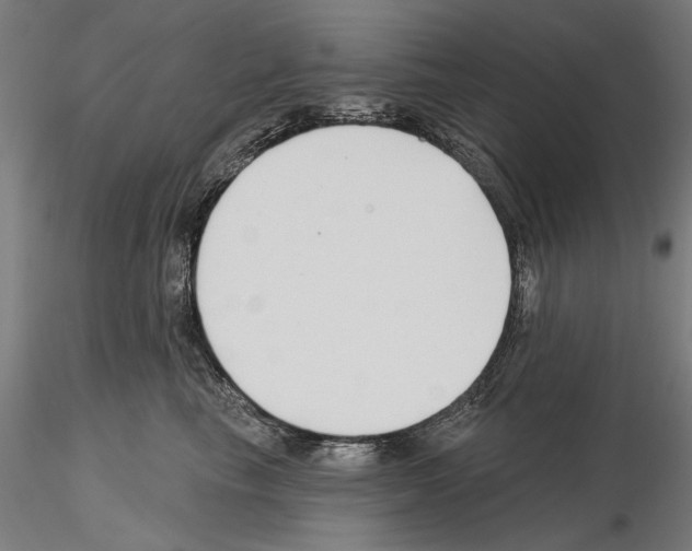X0000115250665200912111118