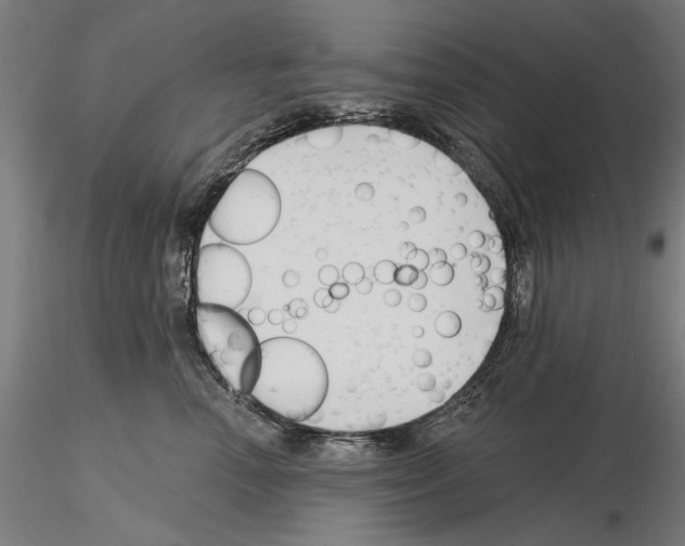 X0000115250666200912111118