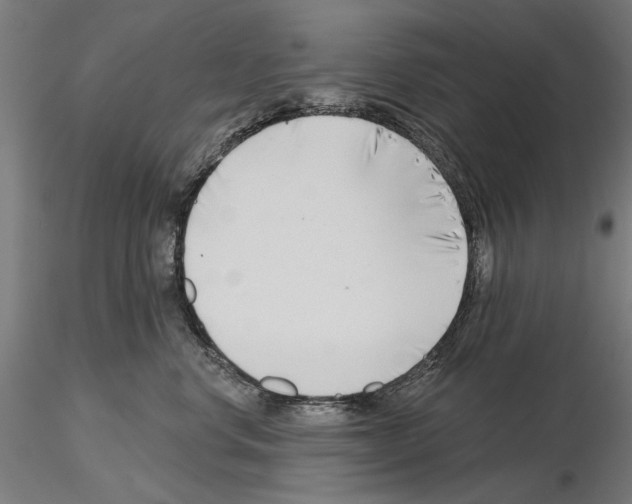 X0000115250668200912111118