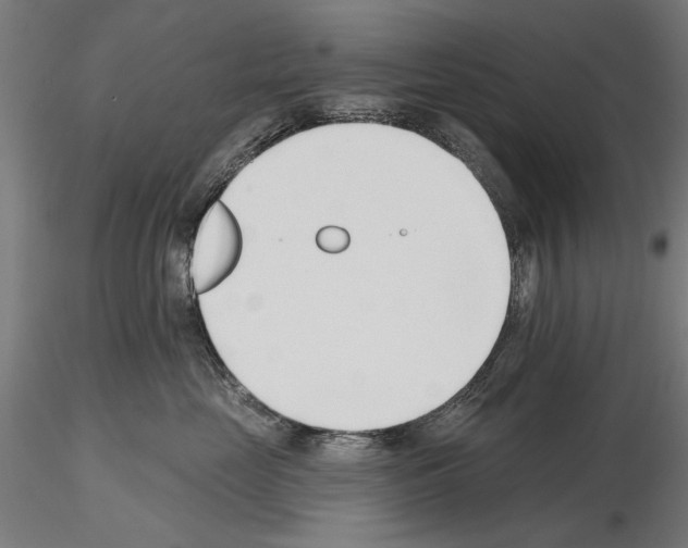 X0000115250669200912111118