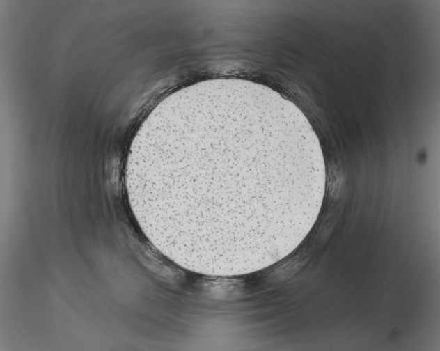 X0000115250670200912111118