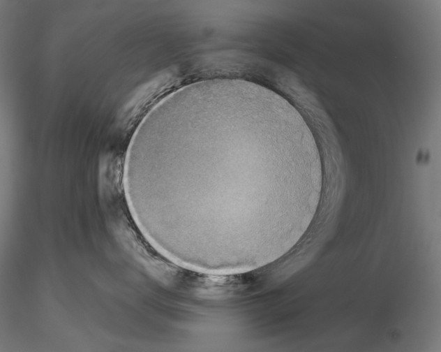 X0000115250672200912111118