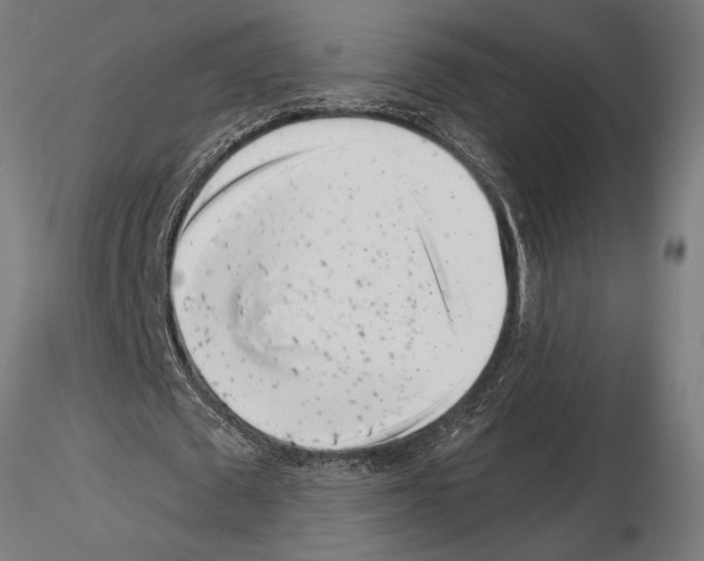 X0000115250673200912111117