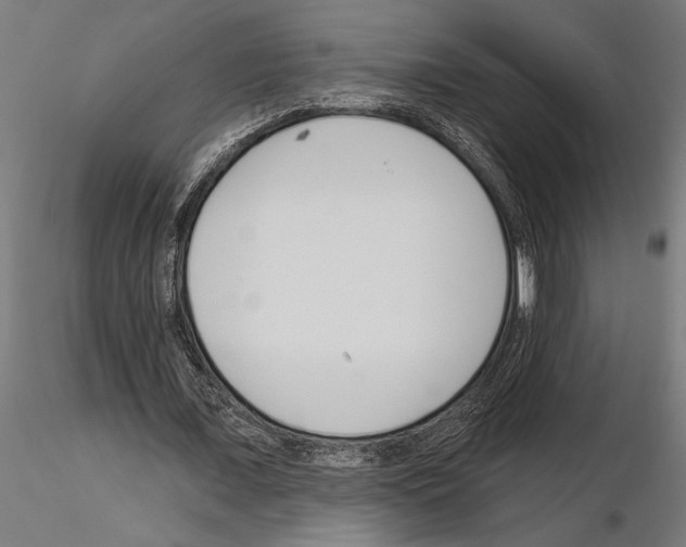 X0000115250675200912111117